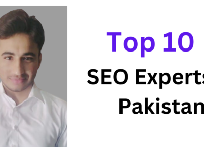Top 10 SEO Experts in Pakistan